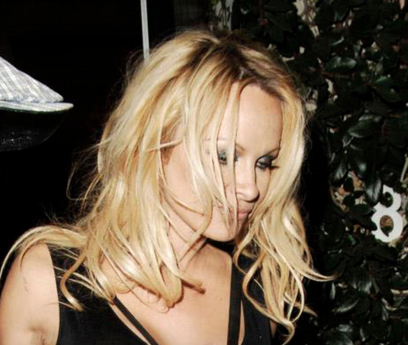Pamela Anderson’s Passionate Plea at G20: A Call for Veganism to Combat Climate Crisis